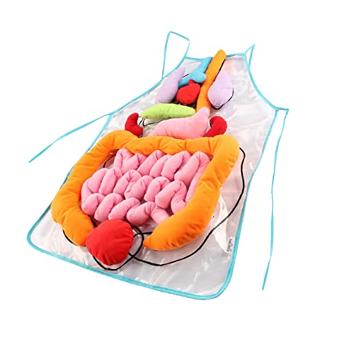 Vaguelly Organschürze Für Kinder – Menschliche Anatomie – Lehrhilfe Mit – Frühpädagogisches Lernen Vaguelly Organschürze Für Kinder – Menschliche Anatomie – Lehrhilfe Mit – Frühpädagogisches Lernen von Vaguelly