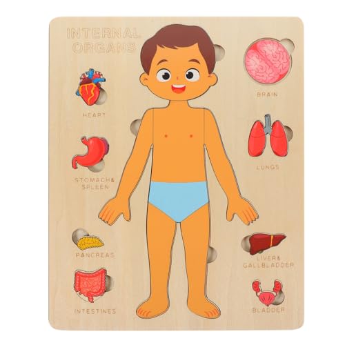 Vaguelly 1 Set Menschlicher Körper Puzzle Junge Anatomie Spielset Körperteile Organe Muskeln Holzpuzzle Spielzeug Vorschulspiel Zum Lernen Der Menschlichen Körperteile Anatomie Für Kinder von Vaguelly