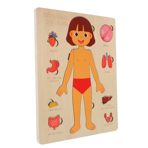 Vaguelly 1 Set Puzzle Zur Struktur des Menschlichen Körpers Kinderpuzzles Kinderpuzzles Werkzeuge Für Lernspielzeug Körperorgane Puzzles Vorschullehrmittel Kindheitslehrmittel von Vaguelly