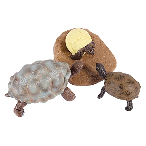 Vaguelly 1 Wachstumszyklus Einer Schildkröte Lebenszyklus Modell Einer Schildkröte Lernspielzeug Für Kleinkinder Statue Eines Nutztiers Wachstumszyklus Lernspielzeug Für Vaguelly 1 Wachstumszyklus Einer Schildkröte Lebenszyklus Modell Einer Schildkröte Lernspielzeug Für Kleinkinder Statue Eines Nutztiers Wachstumszyklus Lernspielzeug Für von Vaguelly