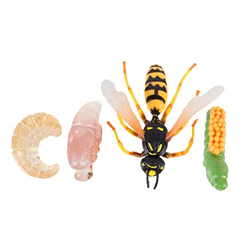 Vaguelly Pädagogisches 4pcs Wasp Spielzeug Modell Wachstum Zyklus Für Kinder Kognitive Entwicklung Spielzeug Vaguelly Pädagogisches 4pcs Wasp Spielzeug Modell Wachstum Zyklus Für Kinder Kognitive Entwicklung Spielzeug von Vaguelly
