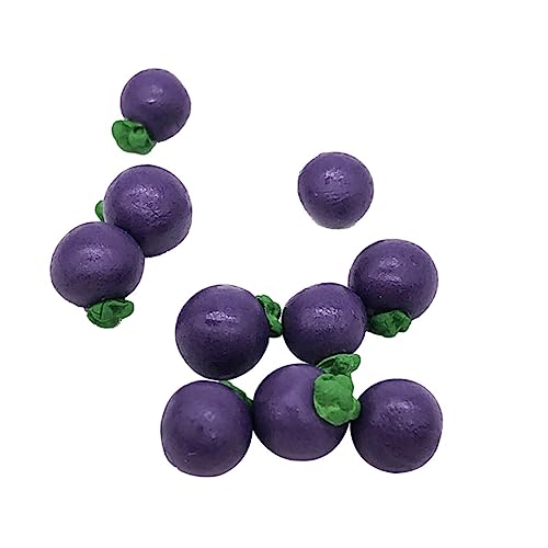 Vaguelly 10 STK. Obst-Mangostan-Modell Mini-speisemodell Spielspielzeug Küche Obst Mangostan Prop Mini-schmuck-Miniatur- Violett von Vaguelly