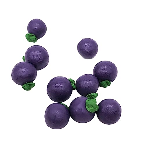 Vaguelly 10 Stück Mini-schmuck-Miniatur- Küche Obst Mangostan Prop Mini-speisemodell Spielspielzeug Obst-Mangostan-Modell Violett von Vaguelly