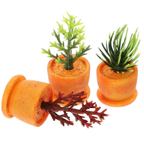 Vaguelly 12 Stück Miniaturpflanzen Teilig Bonsai Miniaturpflanzen für Puppenhaus Dekorative Topfpflanzen für DIY Miniaturgärten und Puppenhaus Zubehör Vaguelly 12 Stück Miniaturpflanzen Teilig Bonsai Miniaturpflanzen für Puppenhaus Dekorative Topfpflanzen für DIY Miniaturgärten und Puppenhaus Zubehör von Vaguelly