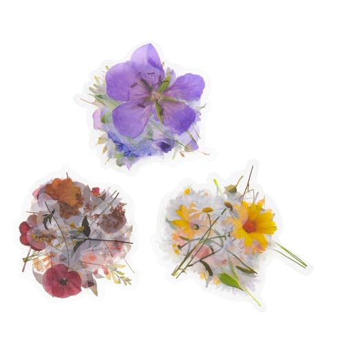 Vaguelly 120 Blatt Haustier Aufkleberpaket Scrapbooking Pflanzenetiketten Nagelaufkleber Tagebuchaufkleber Fotoaufkleber Chic Stil Etikettenaufkleber Selbstklebende Aufkleber Vaguelly 120 Blatt Haustier Aufkleberpaket Scrapbooking Pflanzenetiketten Nagelaufkleber Tagebuchaufkleber Fotoaufkleber Chic Stil Etikettenaufkleber Selbstklebende Aufkleber von Vaguelly