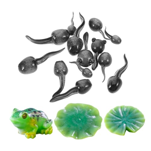 Vaguelly 16 Stück Teiliges Mini Frosch Figuren aus Resin Niedliche Kleine Frosch und Lotusteich Deko Vielseitiges Moos Landschafts Zubehör für DIY Feengarten Terrarium und Miniaturgarten Vaguelly 16 Stück Teiliges Mini Frosch Figuren aus Resin Niedliche Kleine Frosch und Lotusteich Deko Vielseitiges Moos Landschafts Zubehör für DIY Feengarten Terrarium und Miniaturgarten von Vaguelly