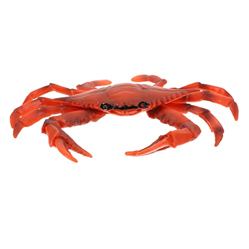 Vaguelly 1Stück Creature Model Realistic Crab Simulation Toy for Educational Science Craft for Home Décor and Learning Play Vaguelly 1Stück Creature Model Realistic Crab Simulation Toy for Educational Science Craft for Home Décor and Learning Play von Vaguelly