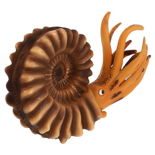 Vaguelly Nautilus-förmiges Spielzeug – Pädagogisches Simulationstier – Plastikspielzeug – Schreibtischdekor Für Kinder Vaguelly Nautilus-förmiges Spielzeug – Pädagogisches Simulationstier – Plastikspielzeug – Schreibtischdekor Für Kinder von Vaguelly