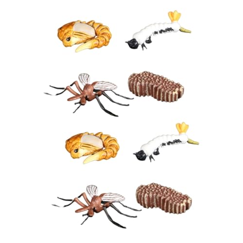 Vaguelly 2 Sätze Insektenfigurenmodell bastelzeug Craft Pädagogisches Spielzeug mockin dekoringe Modelle tortendeko Einschulung Moskito-Modell Simulation Insektenmodell Tier Ornamente Kind von Vaguelly