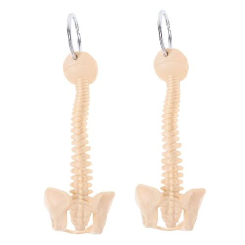 Vaguelly Niedlicher Schlüsselanhänger Menschliches Mini-Modell Für Orthopäden Medizinstudenten Biologieunterricht Vaguelly Niedlicher Schlüsselanhänger Menschliches Mini-Modell Für Orthopäden Medizinstudenten Biologieunterricht von Vaguelly