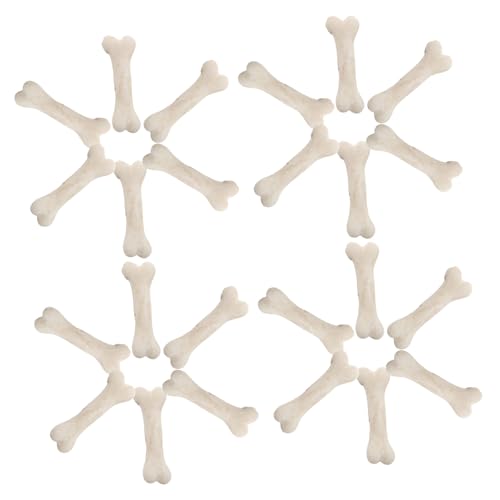 Vaguelly Realistische 20 Stücke Miniatur Skelett Modell Gefälschte Menschliche Knochen Für Halloween Requisiten von Vaguelly