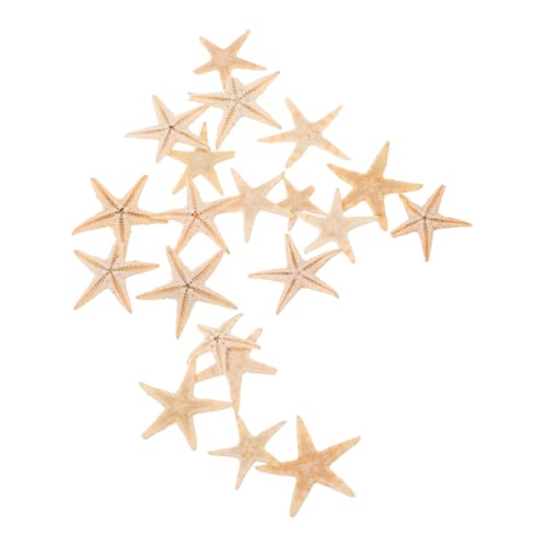 Vaguelly 20 Stück Mini Seestern Deko Ocean Theme Seestern Ornamente für DIY Aromatherapie Strand Dekoration Hochzeiten und Partys Vaguelly 20 Stück Mini Seestern Deko Ocean Theme Seestern Ornamente für DIY Aromatherapie Strand Dekoration Hochzeiten und Partys von Vaguelly