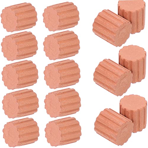 Vaguelly 20 Stück Mini-Steine Kleine Ziegelsteine Bausteine ​​Bauen Gebäude Garten Ziegel Ton Für Landschaft Miniatur Ziegel Mini Sandtischsteine Diorama Winzig Verbrannte Erde von Vaguelly