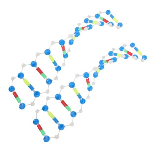 Vaguelly Wissenschaftliche Modelle Biologie 2-teiliger DNA-modellbausatz Doppelhelix-molekülmodell Für Klassenzimmer Der High School/universität von Vaguelly