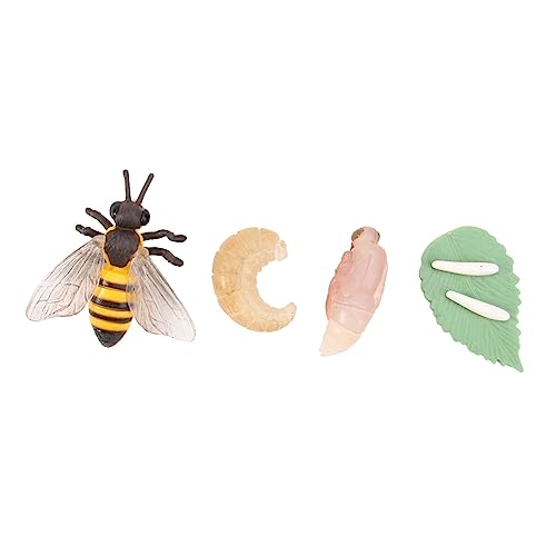 Vaguelly 3 Sätze Lebensphasenmodell Miniaturfiguren Miniaturtiere Lebenszyklus Biene Spielzeug Bienen-dekor Fehlerfänger Ausstellungsmodelle Lernspielzeug Statue Ameise Kind Abs Kleine Welt von Vaguelly
