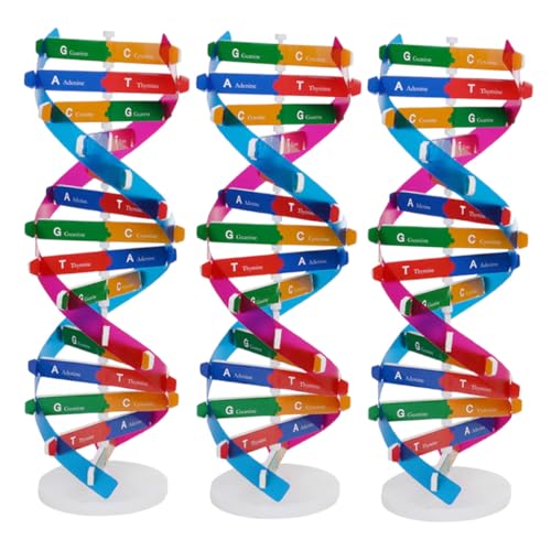 Vaguelly 3 Stück Teiliges DNA Modell Bausatz mit Realistischer Doppelhelix Struktur Pädagogisches Wissenschafts Lernspielzeug für Gruppenprojekte und Interaktiven Biologie Unterricht Vaguelly 3 Stück Teiliges DNA Modell Bausatz mit Realistischer Doppelhelix Struktur Pädagogisches Wissenschafts Lernspielzeug für Gruppenprojekte und Interaktiven Biologie Unterricht von Vaguelly
