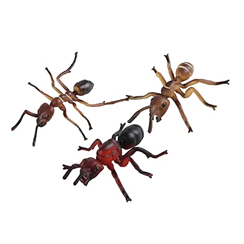Vaguelly 3st Simulierte Ameisen Ameisenjunge Miniatur-ameisenfiguren Außenameisen-Ornamente Ameisenverzierung Simuliertes Ameisendekor Gartenameise Ameise Figur Plastik Vaguelly 3st Simulierte Ameisen Ameisenjunge Miniatur-ameisenfiguren Außenameisen-Ornamente Ameisenverzierung Simuliertes Ameisendekor Gartenameise Ameise Figur Plastik von Vaguelly