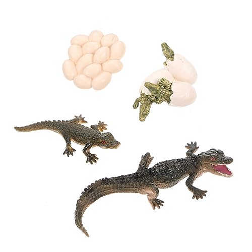 Vaguelly 4 Sätze Modell des Wachstumszyklus Frosch Spielzeug Krokodil-Lebenszyklusspielzeug aus Kunststoff belohnung Kinder kindergeburtstags mitgebsel Tier Kinderspielzeug Lernspielzeug von Vaguelly