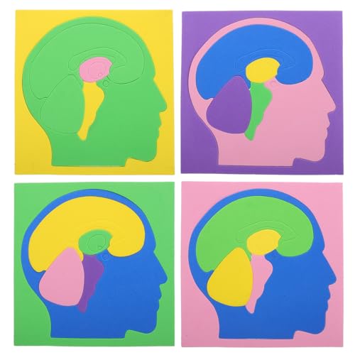 Vaguelly 4-teiliges Montessori-Puzzle-Spielzeug Zur Anatomie des Menschlichen Gehirns Für Kinder Kleinkinder Und Kinder Im Vorschulalter von Vaguelly