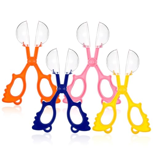 Vaguelly 4 Stück Kinder-Insekten-Fangklemme Outdoor-Spielset für Kinder Kinder-Scooper-Spielzeug Fangzange Spielzeug für Kinder kinderspielzeug Kinder Fangschere Insekten fangen Scheren Vaguelly 4 Stück Kinder-Insekten-Fangklemme Outdoor-Spielset für Kinder Kinder-Scooper-Spielzeug Fangzange Spielzeug für Kinder kinderspielzeug Kinder Fangschere Insekten fangen Scheren von Vaguelly