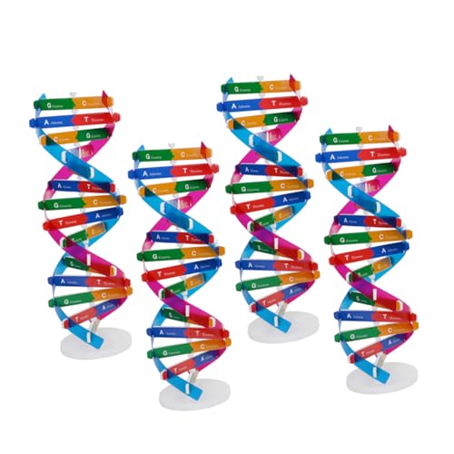 Vaguelly 4stücke DNA-modellbausatz Für Schüler Doppelhelix-Modellbau Biologisches Lernspielzeug Zur Gene-Struktur DIY-Montage Mit Ausstellungsständer Wissenschaftliches Werkzeug Zur von Vaguelly
