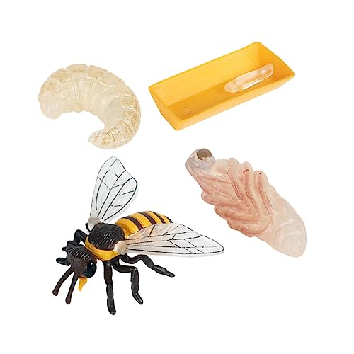 Vaguelly 4 Stücke Bee Wachstum Zyklus Spielzeug Set Für Kinder Bee Evolution Modell Pädagogisches Spielzeug Vaguelly 4 Stücke Bee Wachstum Zyklus Spielzeug Set Für Kinder Bee Evolution Modell Pädagogisches Spielzeug von Vaguelly