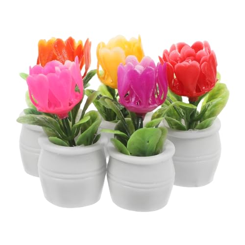 Vaguelly 5 Stück Miniatur Bonsai Pflanzen Set Künstliche Sukkulenten für Puppenhaus und Feengarten Dekoration Realistische Miniaturpflanzen für Kreative Vaguelly 5 Stück Miniatur Bonsai Pflanzen Set Künstliche Sukkulenten für Puppenhaus und Feengarten Dekoration Realistische Miniaturpflanzen für Kreative von Vaguelly