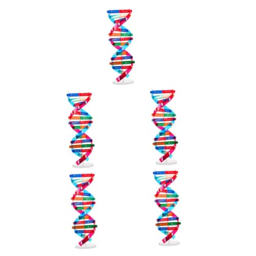 Vaguelly 5St DNA-Modell Kidcraft-Spielset Hilfsmittel für den Biologieunterricht Atom-Link-Modell Selbstbaumodell Wendel Die DNA-Displayständer Doppelhelix-Modell DNA-Strukturmodell Bambus Vaguelly 5St DNA-Modell Kidcraft-Spielset Hilfsmittel für den Biologieunterricht Atom-Link-Modell Selbstbaumodell Wendel Die DNA-Displayständer Doppelhelix-Modell DNA-Strukturmodell Bambus von Vaguelly