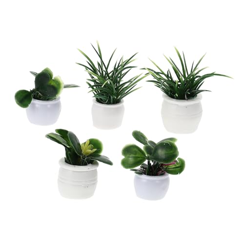Vaguelly 5st Puppenhaus Topfpflanze Puppenhausgrün Bonsai Pflanzen Kleine Figuren Miniatur Mini-feenfiguren Leute Aus Dem Puppenhaus Puppenhäuser Mini-topfpflanze Blumenmodell Plastik Vaguelly 5st Puppenhaus Topfpflanze Puppenhausgrün Bonsai Pflanzen Kleine Figuren Miniatur Mini-feenfiguren Leute Aus Dem Puppenhaus Puppenhäuser Mini-topfpflanze Blumenmodell Plastik von Vaguelly