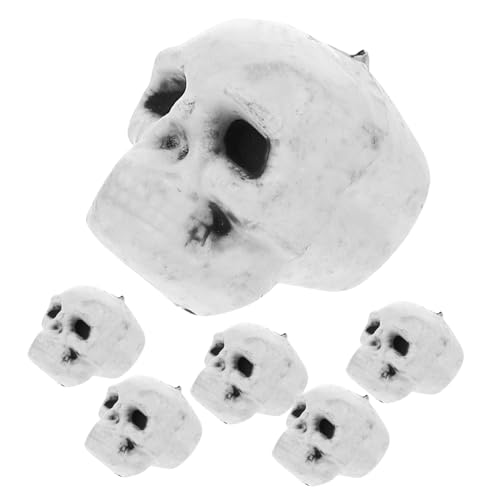 Vaguelly 6 Stück Miniatur Schädel Deko für Halloween Realistische Skelett Köpfe für Partys Maskeraden und Gruseldesigns für Dekorationen und Kreative Anlässe Vaguelly 6 Stück Miniatur Schädel Deko für Halloween Realistische Skelett Köpfe für Partys Maskeraden und Gruseldesigns für Dekorationen und Kreative Anlässe von Vaguelly