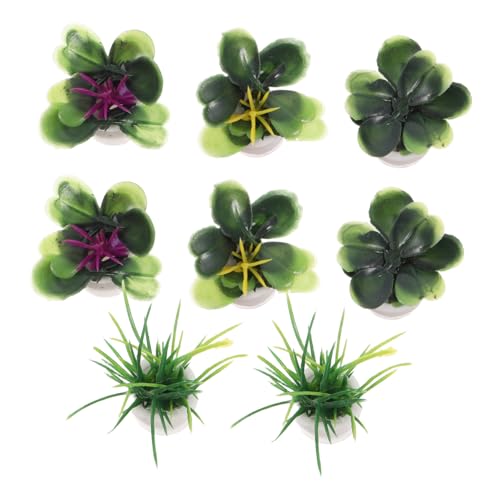 Vaguelly 8 Stück Miniatur Pflanzen Puppenhaus Dekoration mit Kleinen Künstlichen Topfpflanzen Vielseitige Mini Garten Accessoires für Zuhause Büro Aquarium und Micro Landschaft Gestaltung Vaguelly 8 Stück Miniatur Pflanzen Puppenhaus Dekoration mit Kleinen Künstlichen Topfpflanzen Vielseitige Mini Garten Accessoires für Zuhause Büro Aquarium und Micro Landschaft Gestaltung von Vaguelly