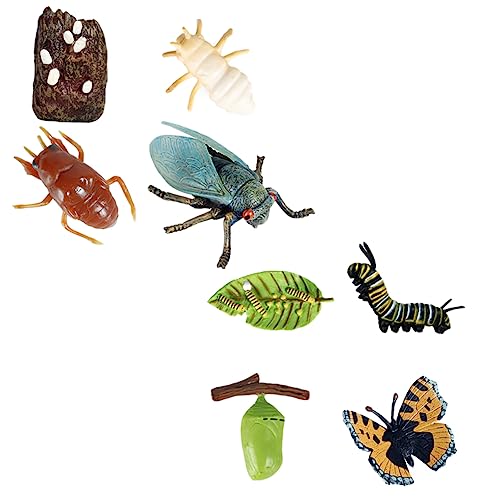 Vaguelly 8St Wachstumszyklus zylindrisches Bienenwachs Bienenwachsblock Mini- Ding für kinderspielzeug Fun Toy Wachstumszyklusanzeige Prop Modell Plastik von Vaguelly
