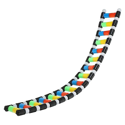 Vaguelly Doppelhelix periodisch Schule Wissenschaftsmodelle Biologie Modul Anzeige Puzzle DNA-Strukturmodell Molekulares Strukturmodell DNA-Modelle Molekularstruktur-Modellbausatz Plastik Vaguelly Doppelhelix periodisch Schule Wissenschaftsmodelle Biologie Modul Anzeige Puzzle DNA-Strukturmodell Molekulares Strukturmodell DNA-Modelle Molekularstruktur-Modellbausatz Plastik von Vaguelly