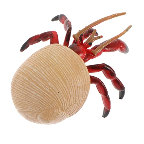 Vaguelly Einsiedlerkrebs-Modell Spielzeug Pagurian-Modell Schmuck Lernspielzeug Für Kinder Tiermodell Für Den Vaguelly Einsiedlerkrebs-Modell Spielzeug Pagurian-Modell Schmuck Lernspielzeug Für Kinder Tiermodell Für Den von Vaguelly
