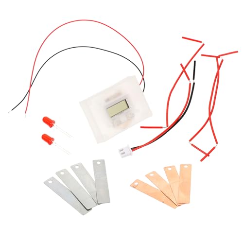 Vaguelly Fruchtbatterie Experimentierset DIY Obst Batterie Wissenschaftliches Schüler Experimentierspielzeug Lernspielzeug Elektronische Uhr Kreatives Bildungsset von Vaguelly