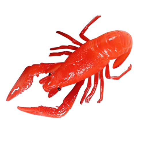 Vaguelly Krebsmodell Gefälschter Hummer Simulation Lebensechter Hummer Stütze Hummer Kognitives Modell Hummerfigurenmodell Realistische Hummerfigur Hummererkennungsmodell PVC Rot Vaguelly Krebsmodell Gefälschter Hummer Simulation Lebensechter Hummer Stütze Hummer Kognitives Modell Hummerfigurenmodell Realistische Hummerfigur Hummererkennungsmodell PVC Rot von Vaguelly