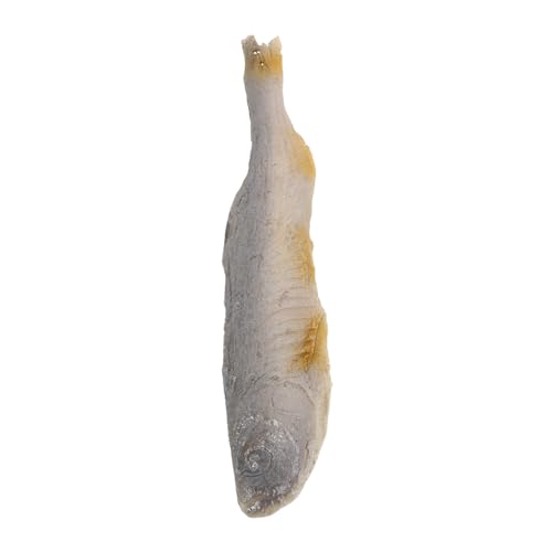 Vaguelly Lifelike Fish Fillet Model Realistic Faux Fried Fish for Pretend Toy Food Lightweight Restaurant Props for Window Display and Photography Scenes von Vaguelly
