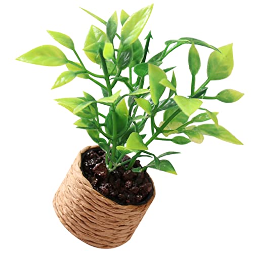 Vaguelly Miniatur-Blumentopf- für kinderspielzeug Modellbau hühner spielsachen Kid Toys winzig Miniaturblumentopf Miniatur -Topfpflanze Plastik von Vaguelly