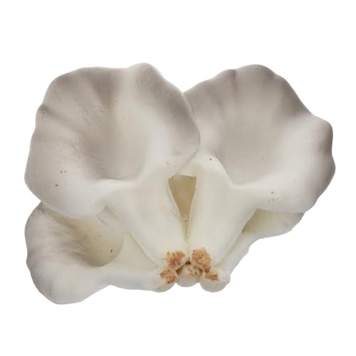 Vaguelly Realistische Künstliche Pilzpflanze Einzigartiges Mini-pilzdekor Für Den Garten Als Schmuck Vaguelly Realistische Künstliche Pilzpflanze Einzigartiges Mini-pilzdekor Für Den Garten Als Schmuck von Vaguelly