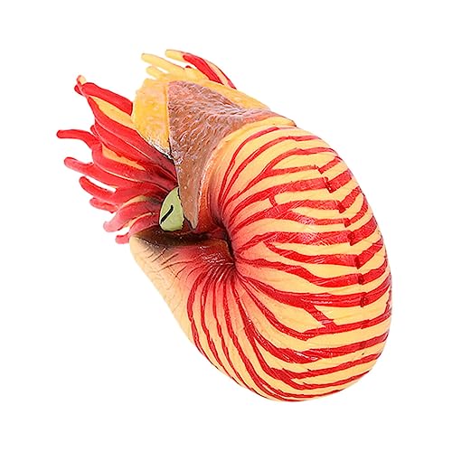 Vaguelly Nautilus Modell Aus Kunststoff Realistische Meerestier Figur Für Pädagogisches Umweltbewusstsein Und Naturgeschichte Als Desktop Oder Aquarium Vaguelly Nautilus Modell Aus Kunststoff Realistische Meerestier Figur Für Pädagogisches Umweltbewusstsein Und Naturgeschichte Als Desktop Oder Aquarium von Vaguelly