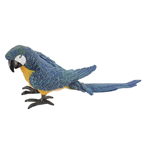 Vaguelly Simulation Papagei Figur Lebensechte Vögel Dekoration Kompakte Größe Für Wohnkultur Vaguelly Simulation Papagei Figur Lebensechte Vögel Dekoration Kompakte Größe Für Wohnkultur von Vaguelly