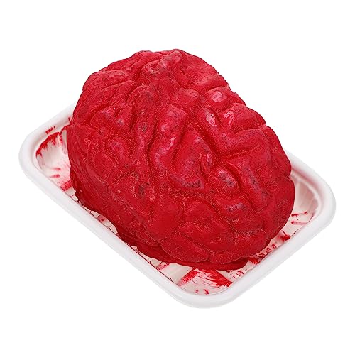 Vaguelly Realistisches Halloween Körperorgan Deko Gehirn und Herz Kleines Leichtes Party Zubehör für Gruselige Raumdekoration und Kreative Spielrequisiten Langlebig und Sicher aus Vaguelly Realistisches Halloween Körperorgan Deko Gehirn und Herz Kleines Leichtes Party Zubehör für Gruselige Raumdekoration und Kreative Spielrequisiten Langlebig und Sicher aus von Vaguelly