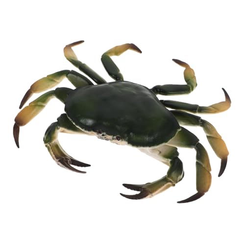 Vaguelly Realistisches Krabbenmodell Miniatur Meerestiere Pädagogisches Wasserspielzeug Rollenspiel Essen Realistisches Meerestiermodell Einsiedlerkrebs Kletterspielzeug Vaguelly Realistisches Krabbenmodell Miniatur Meerestiere Pädagogisches Wasserspielzeug Rollenspiel Essen Realistisches Meerestiermodell Einsiedlerkrebs Kletterspielzeug von Vaguelly