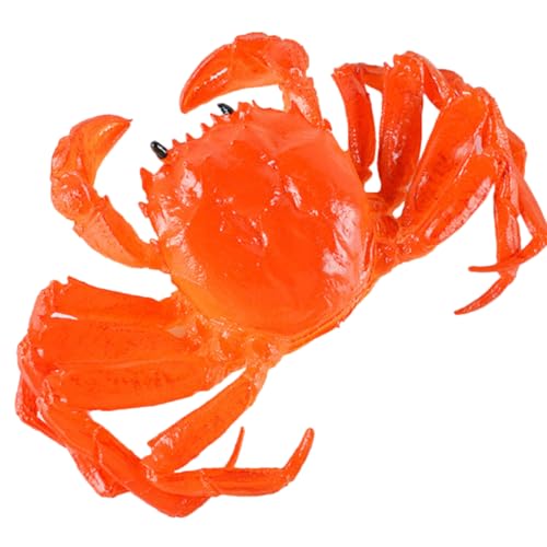 Vaguelly Realistisches Krabbenmodell aus Kunststoff Simuliertes Meereslebewesen für Aquarium Dekoration Lebensechte Krabbenfigur Lernhilfe für Kreative Spiele und Partys von Vaguelly