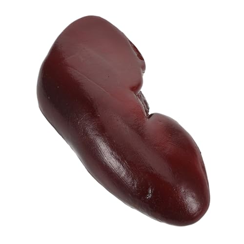 Vaguelly Realistisches Schweine-nieren Modell Halloween Deko Prank Requisit Detailgetreue Simulation für Party Cosplay Haunted House Vielseitig und Langlebig von Vaguelly