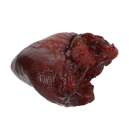 Vaguelly Realistisches Schweineherz Modell Lebensnah Küchen-deko Stabile Detailgetreue Simulation für Restaurant Schaufensterdekoration Vielseitiges Food Prop für Food-Fotografie Vaguelly Realistisches Schweineherz Modell Lebensnah Küchen-deko Stabile Detailgetreue Simulation für Restaurant Schaufensterdekoration Vielseitiges Food Prop für Food-Fotografie von Vaguelly