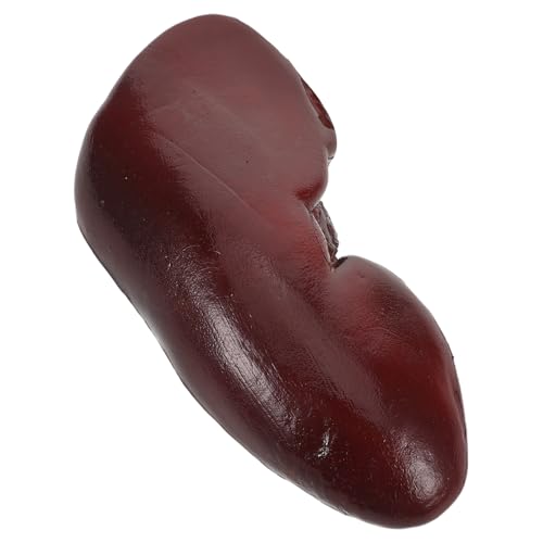 Vaguelly Realistisches Schweinenieren-Lebensmittelmodell für Halloween-Dekorationen, Streichspielzeug und Cosplay-Zubehör, Spukhaus und Party-Requisiten Vaguelly Realistisches Schweinenieren-Lebensmittelmodell für Halloween-Dekorationen, Streichspielzeug und Cosplay-Zubehör, Spukhaus und Party-Requisiten von Vaguelly