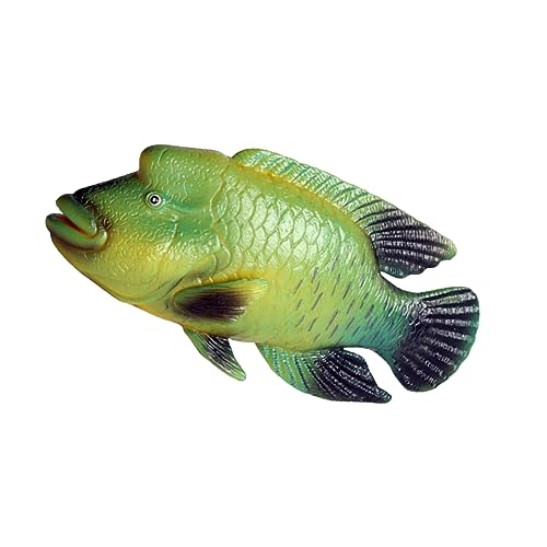 Vaguelly Simulation Humphead Wrasse Figurine aus Kunststoff Realistisches Tiermodell für Aquarien und Kinderspielzeug für Frühe Bildung und Dekoration von Vaguelly