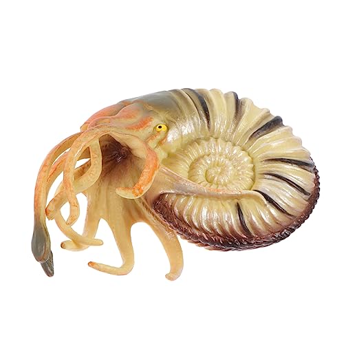 Vaguelly Simulation Nautilus Modell Meereslebewesen Kreative Marinedekoration Lernspielzeug Tierfigur für Schreibtisch und Vaguelly Simulation Nautilus Modell Meereslebewesen Kreative Marinedekoration Lernspielzeug Tierfigur für Schreibtisch und von Vaguelly