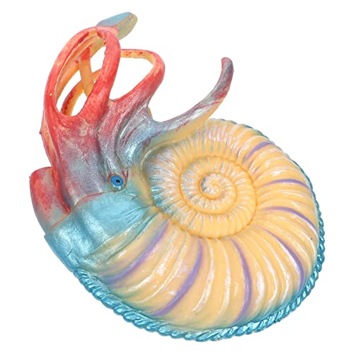 Vaguelly Tiere Modell Nautilus Figurine Als Aquarium Deko Realistische Meeresbewohner Für Lernspielzeug Und Dekoration Für Fischbecken Sicheres Material Für Kreatives Spielen von Vaguelly